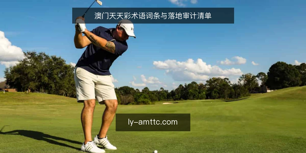 澳门天天彩术语词条与落地审计清单 — 为何现在需要审计信息路径 配图
